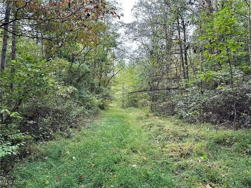 Picture 5