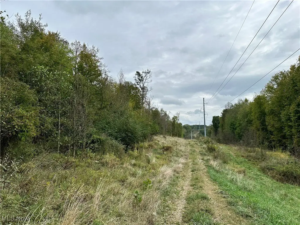 Picture 8