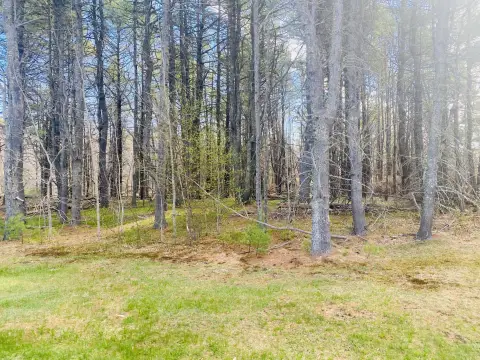 Wooded Lot in Bangor, Maine