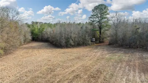 Akron, AL Hunting and Residential Land