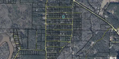 Affordable Lot Near Choctawhatchee River