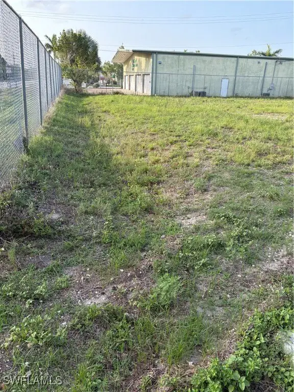 Picture 8