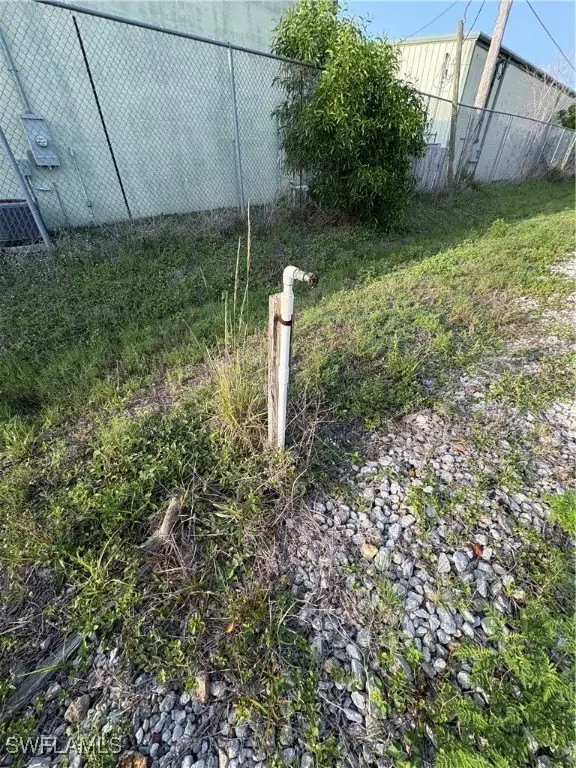 Picture 11