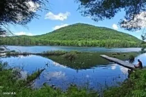 Approved Building Lots Near Gore