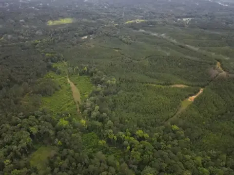 Crosby, MS Hunting Land
