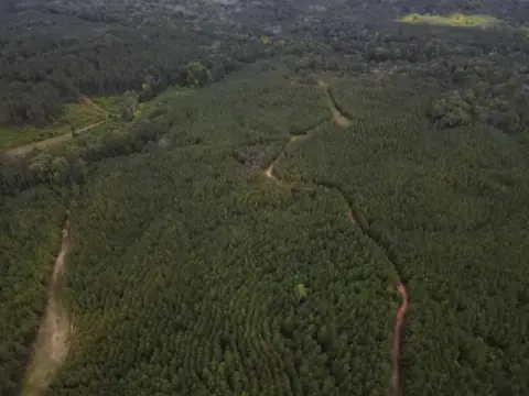 Crosby, MS Hunting Land