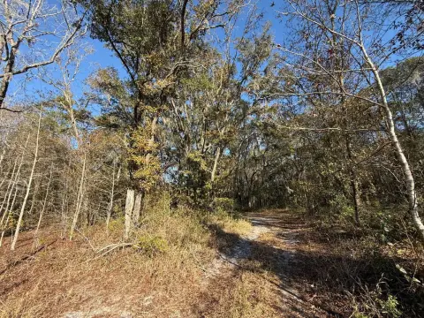 Bronson, FL Vacant Land