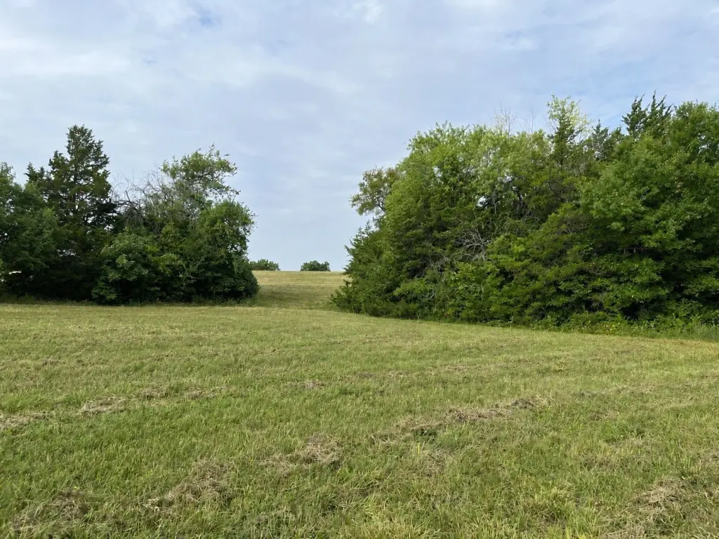 Picture 30