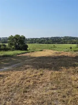 55 Acres of Texas Land