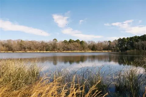 Lakefront Lot in Mineola, Texas