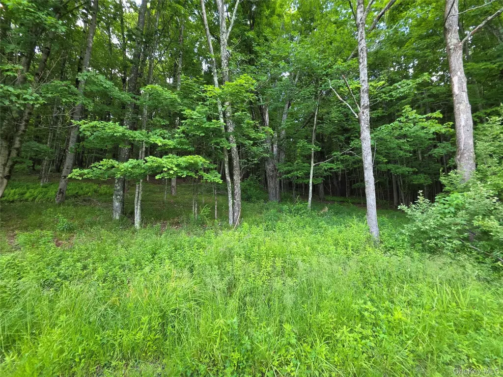 Picture 23
