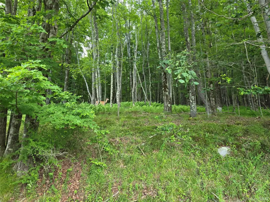 Picture 13