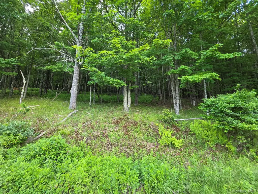 Picture 22