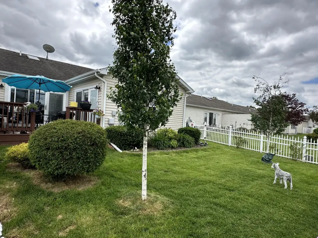 Picture 19