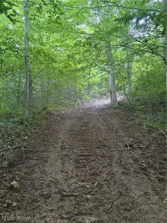 Picture 29