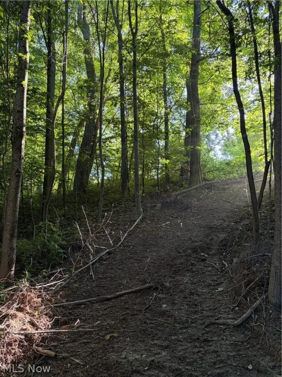 Picture 25
