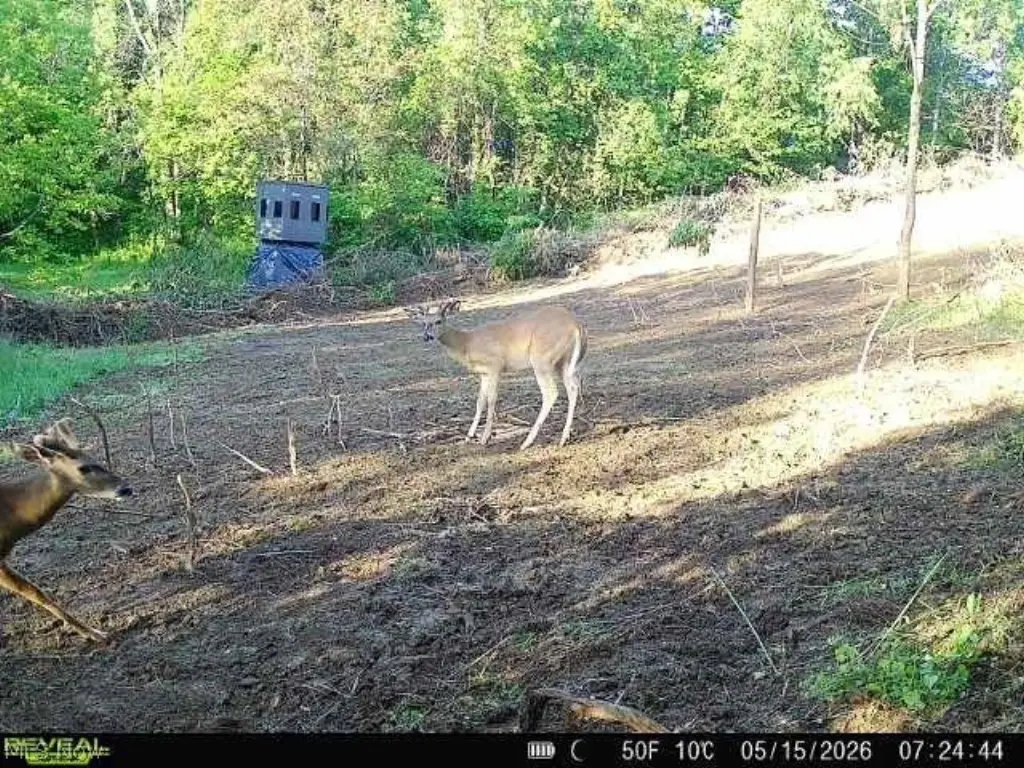 Picture 5
