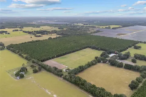 97 Acres of Pine Land