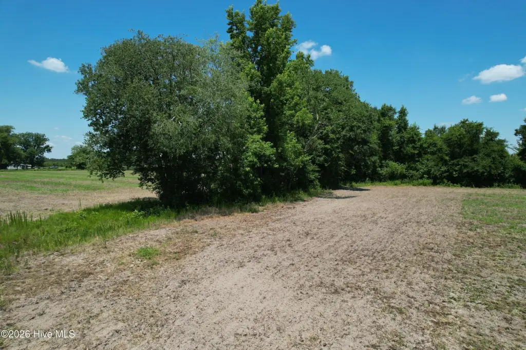 Picture 15