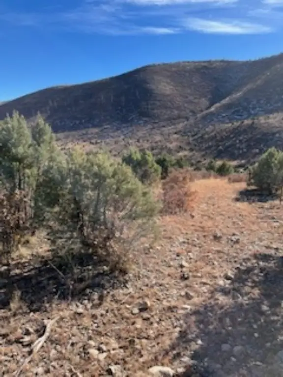 Picture 18