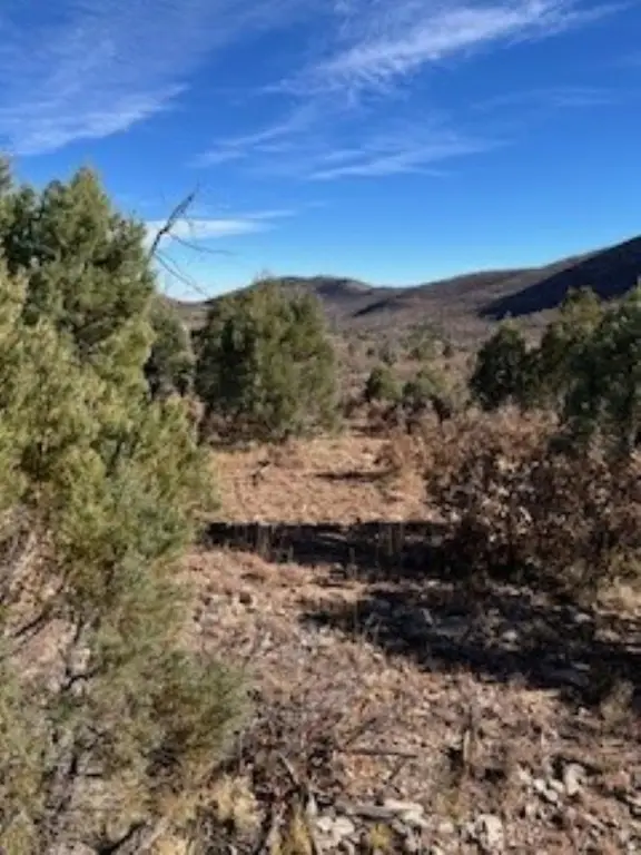 Picture 17