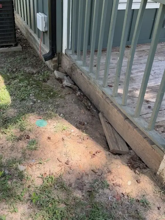 Picture 38