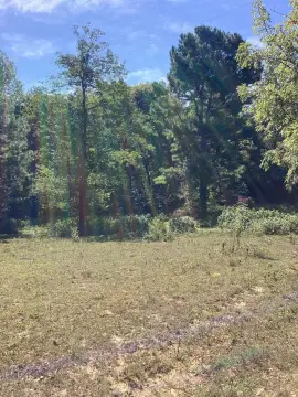 Land for Hunting or Home