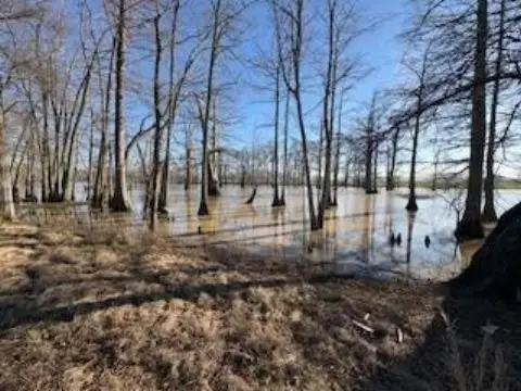 Bayou Frontage Recreational Land