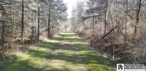 Cottage on Wooded Acreage