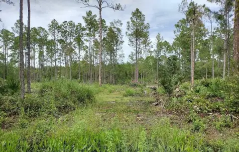 Cleared Lot in Bunnell, Florida