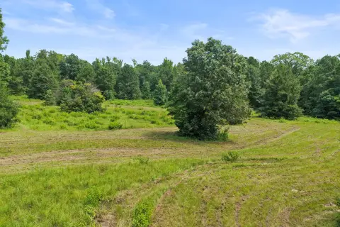 Agricultural Land with Stocked Pond
