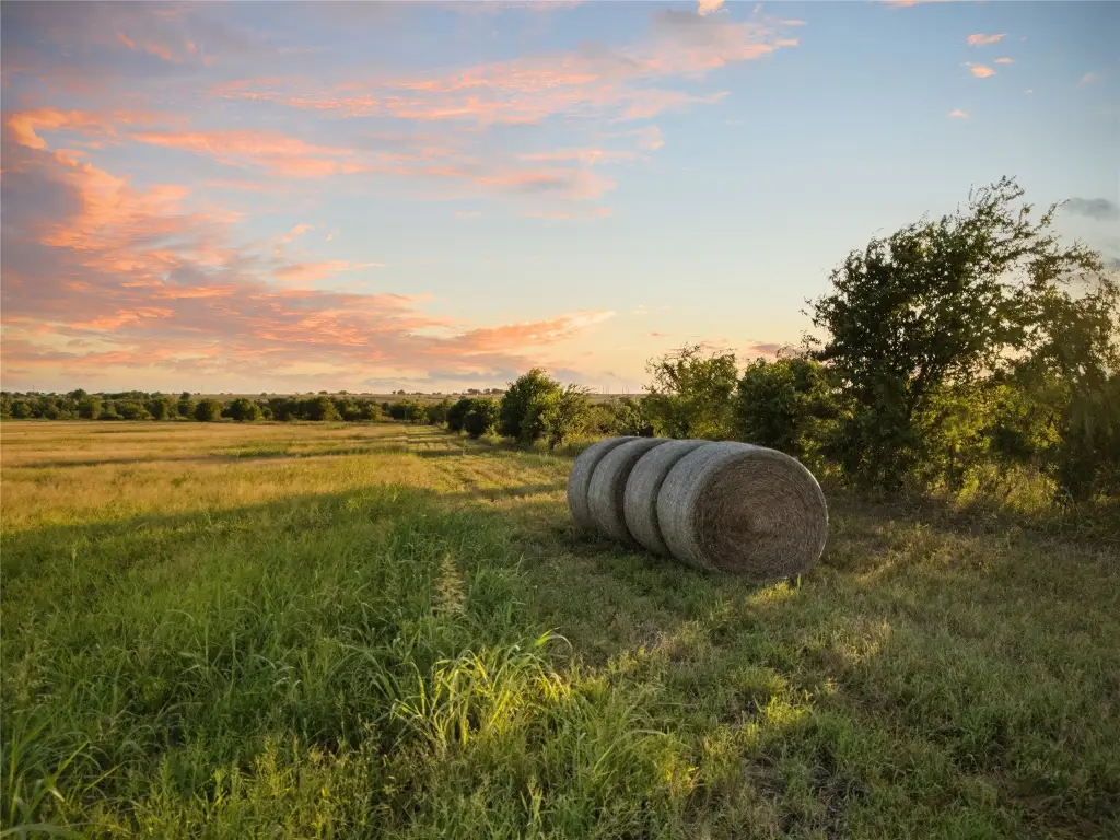 Picture 8