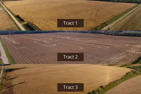 Irrigated Farmland Near Norfolk, NE