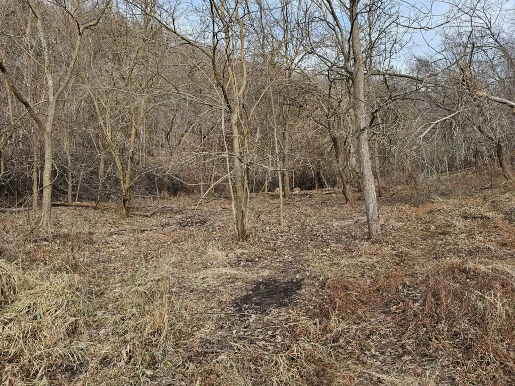 Picture 6
