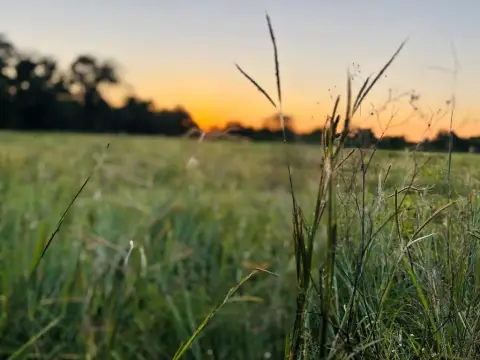 53.92 Acres in Van Vleck