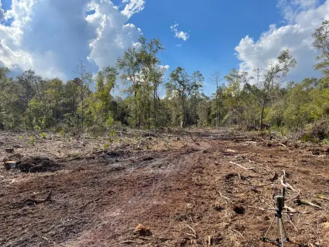 40 Acres Hunting Land Opportunity