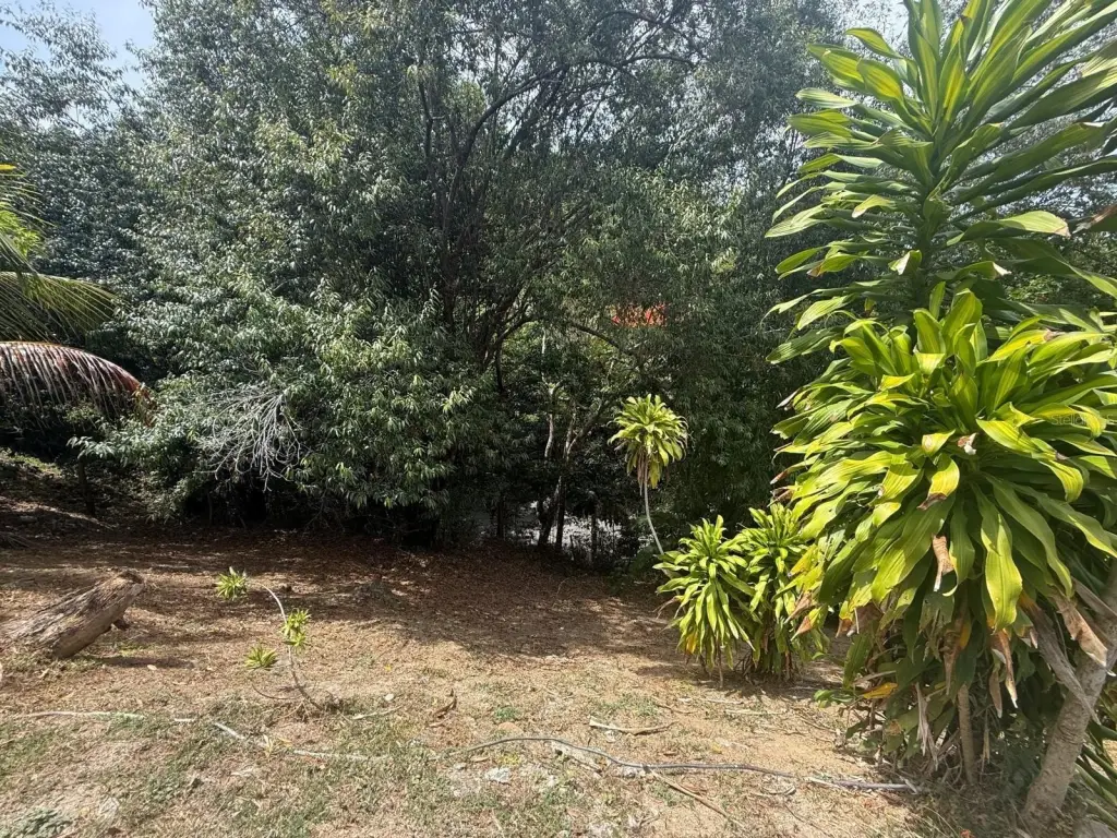 Picture 10