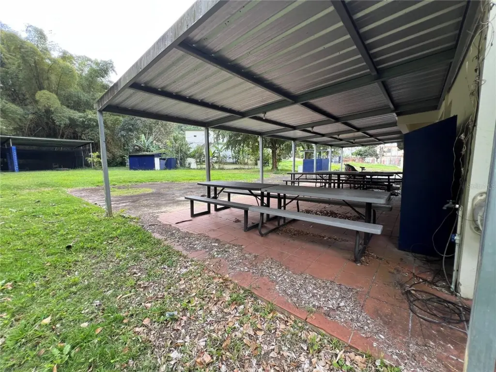 Picture 11