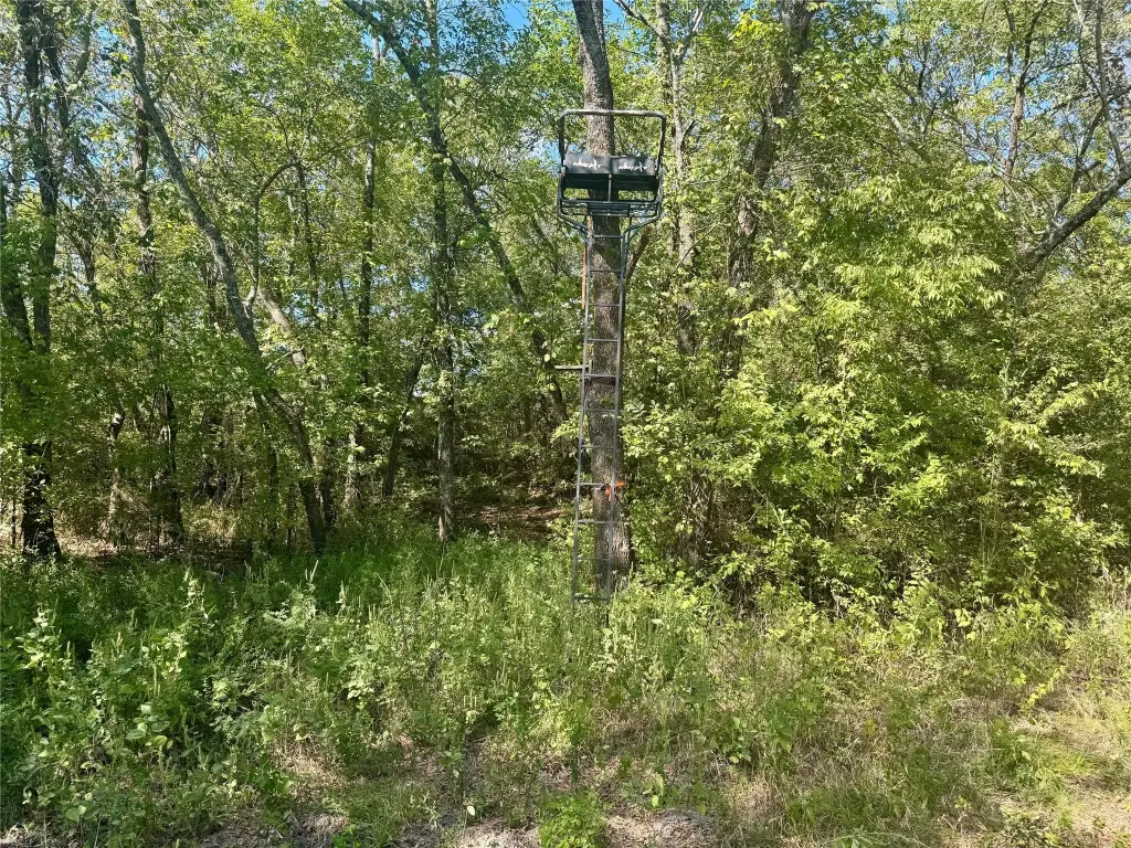 Picture 31
