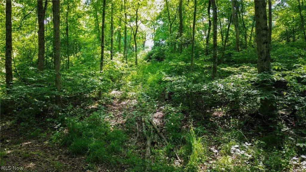 Picture 33