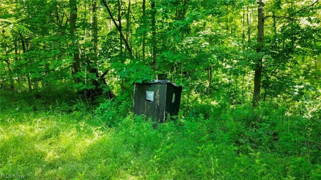 Picture 45