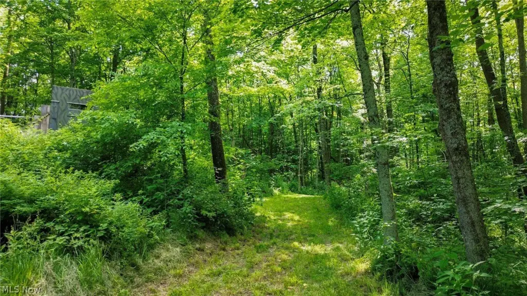 Picture 27