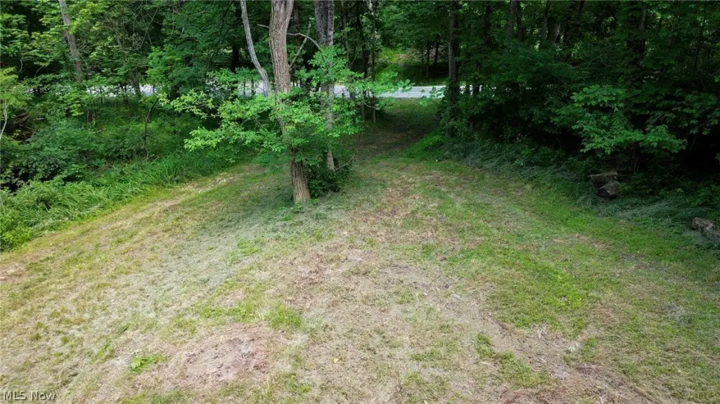 Picture 21