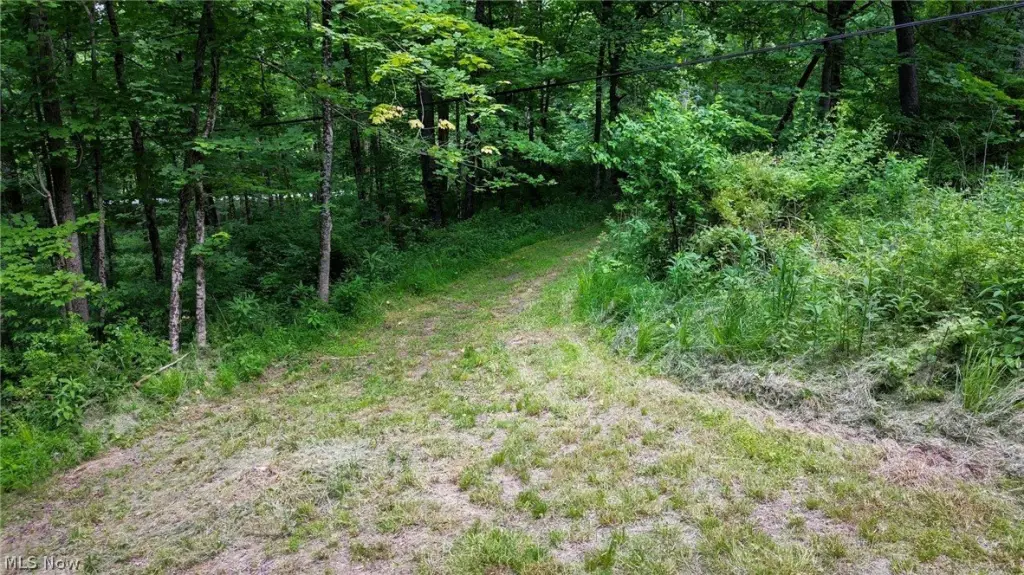 Picture 23