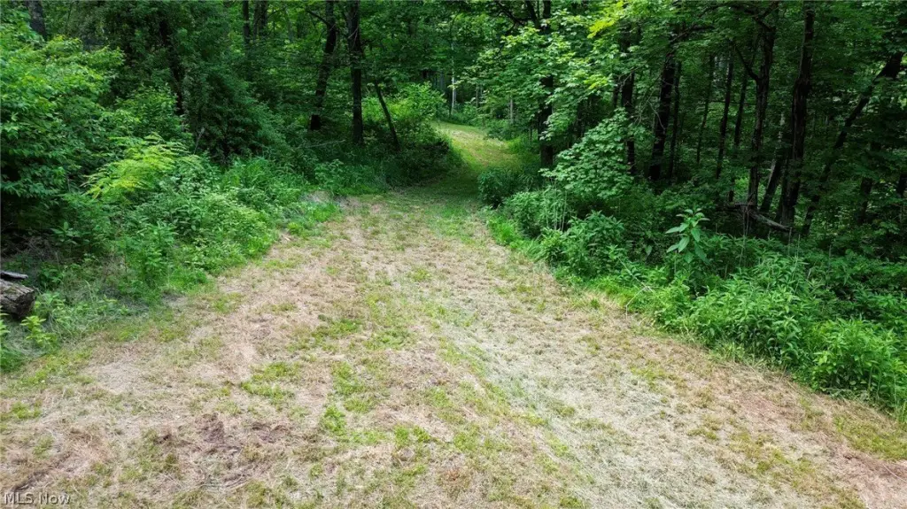 Picture 22