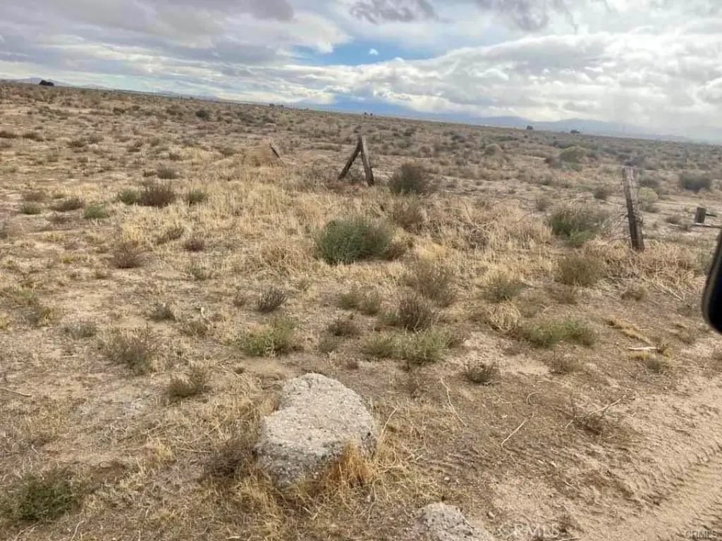 Picture 17