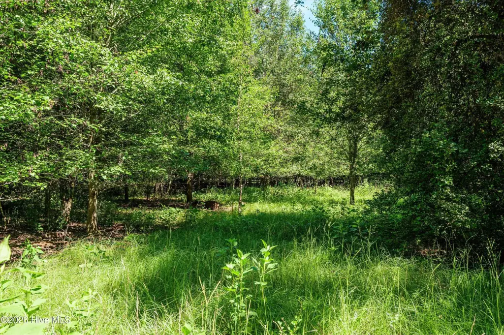 Picture 37