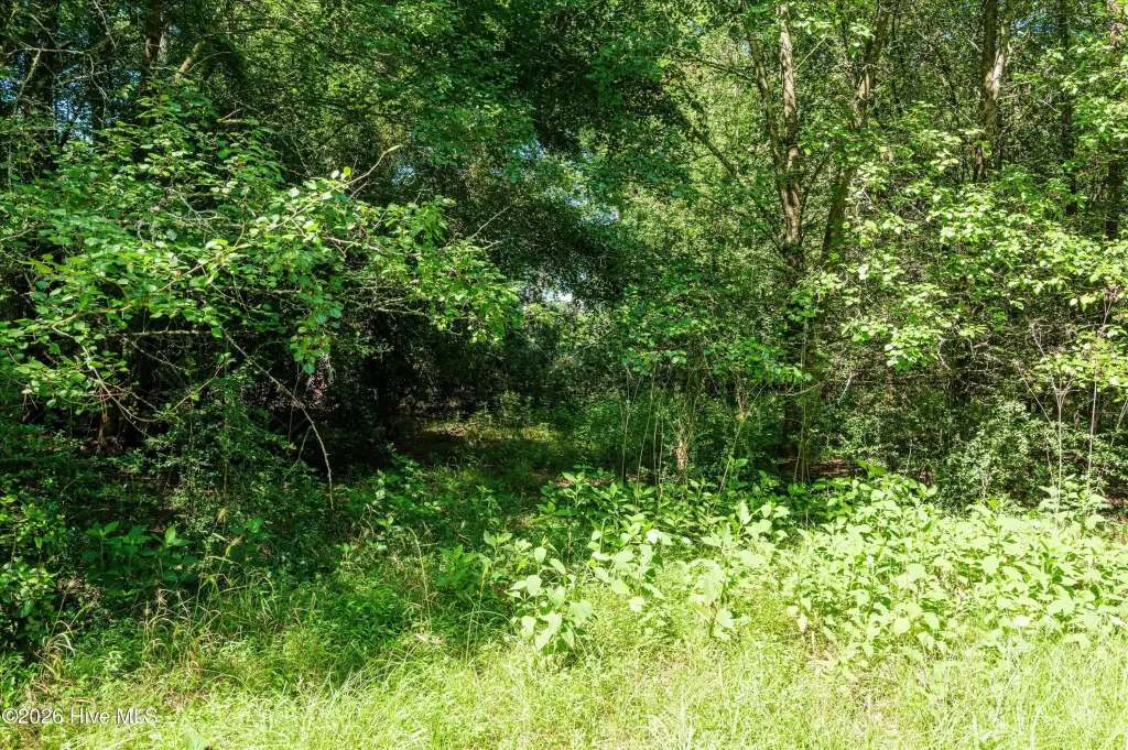 Picture 36