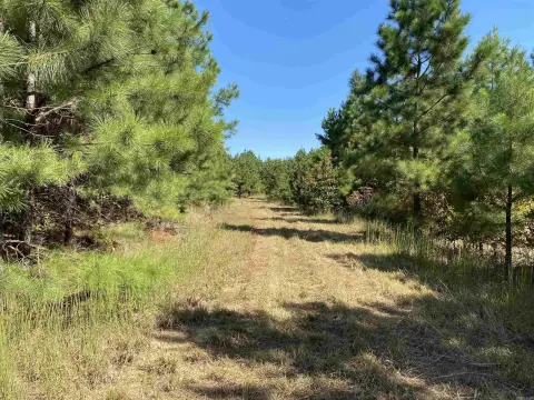 Pangburn Acreage for Hunting or Building