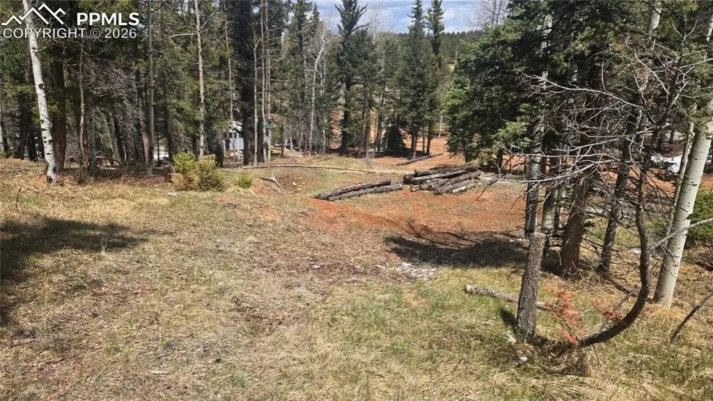 Picture 3